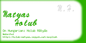 matyas holub business card